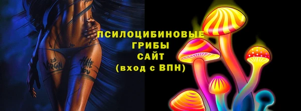 дурь Богданович