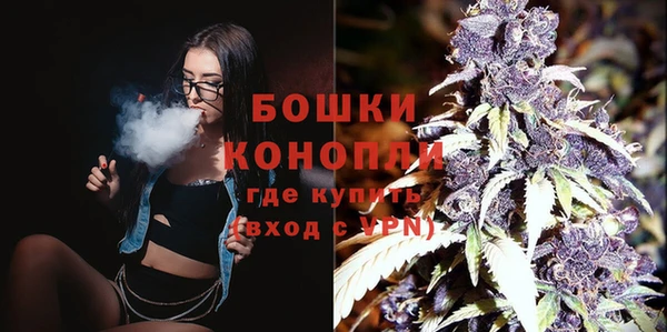 дурь Богданович