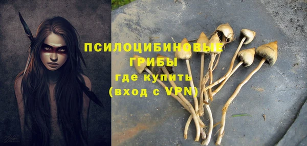 герыч Богородицк