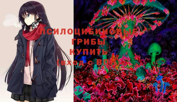 экстази Богородск