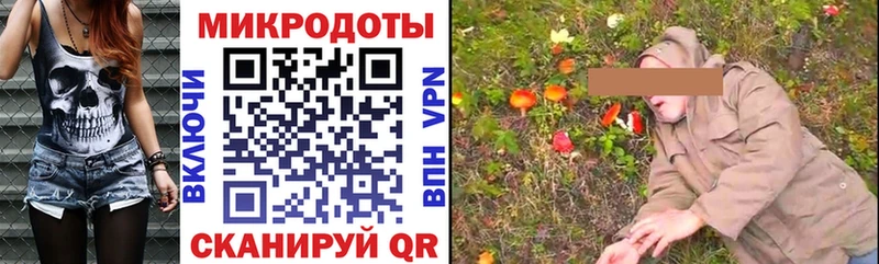 Псилоцибиновые грибы мухоморы  дарк нет какой сайт  Саранск  даркнет сайт 